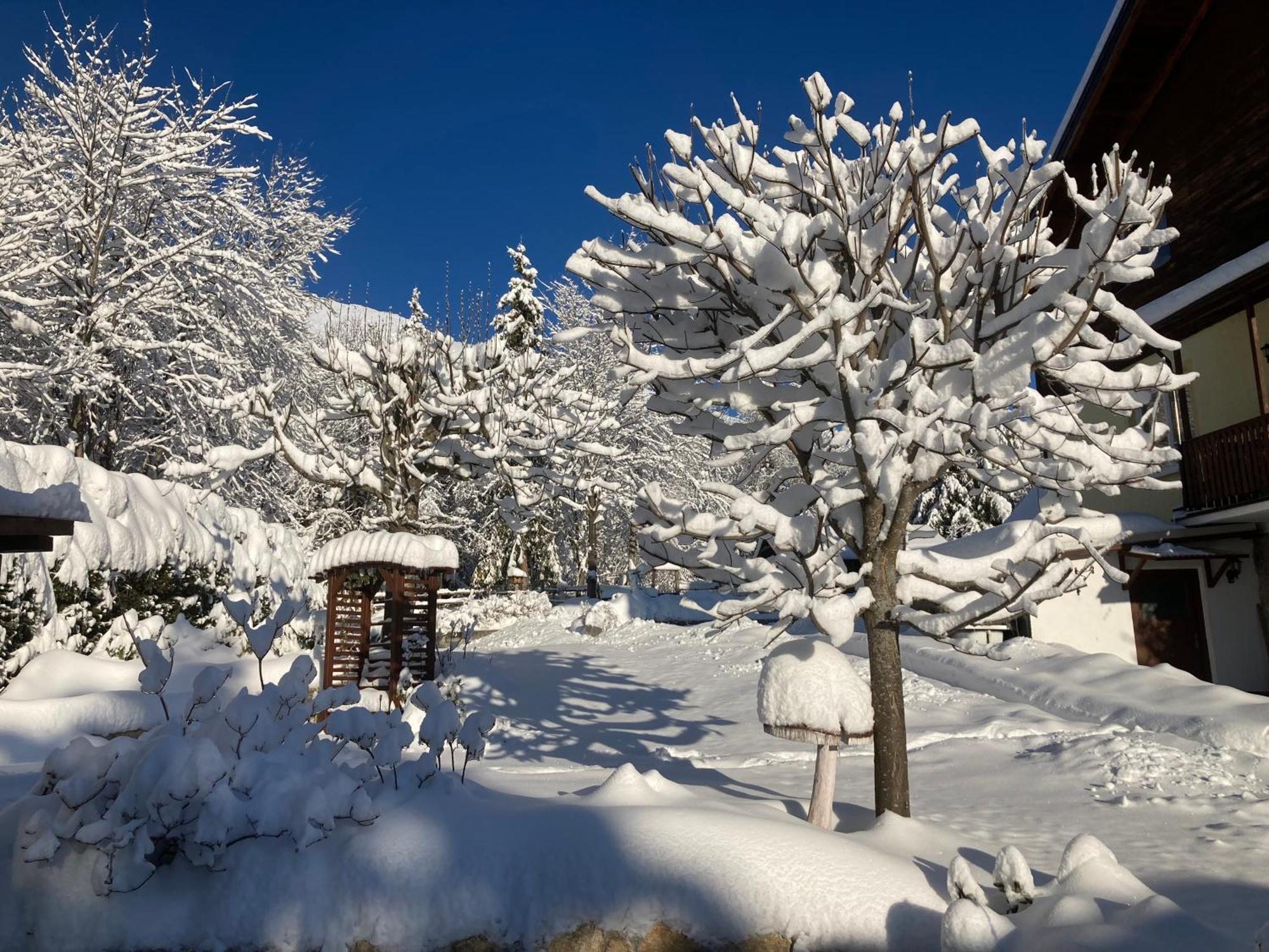 Vila Limba Vysoké Tatry Kültér fotó